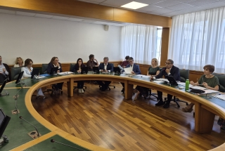 La seduta odierna della commissione Cultura.