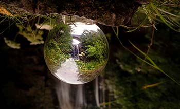 Foto di Ray Bilcliff www.pexels