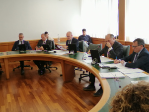 La seduta della commissione. La seduta della commissione.