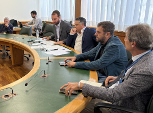 L'audizione di oggi.