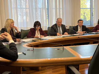 Un momento dell'audizione.