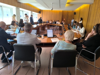 IX commissione sala Etruschi
