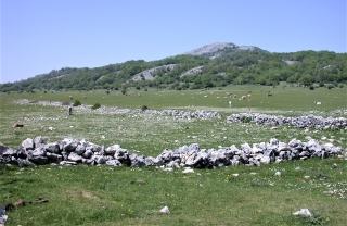 Un'immagine del Pratone di Monte Gennaro nel Parco dei Monti Lucretili.