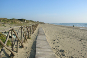 Una veduta della spiaggia di Capocotta, nella Riserva naturale del litorale romano.