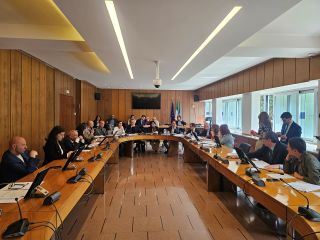 Riunione della commissione Sanit� su pl. 245