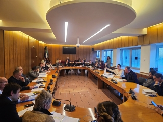 Seduta della commissione Sanit�